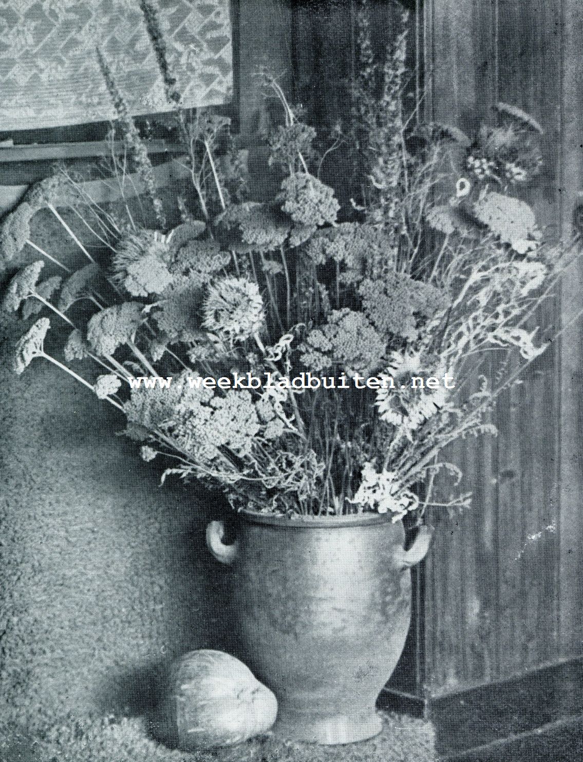 Gedroogde bloemen. Winterbouquet