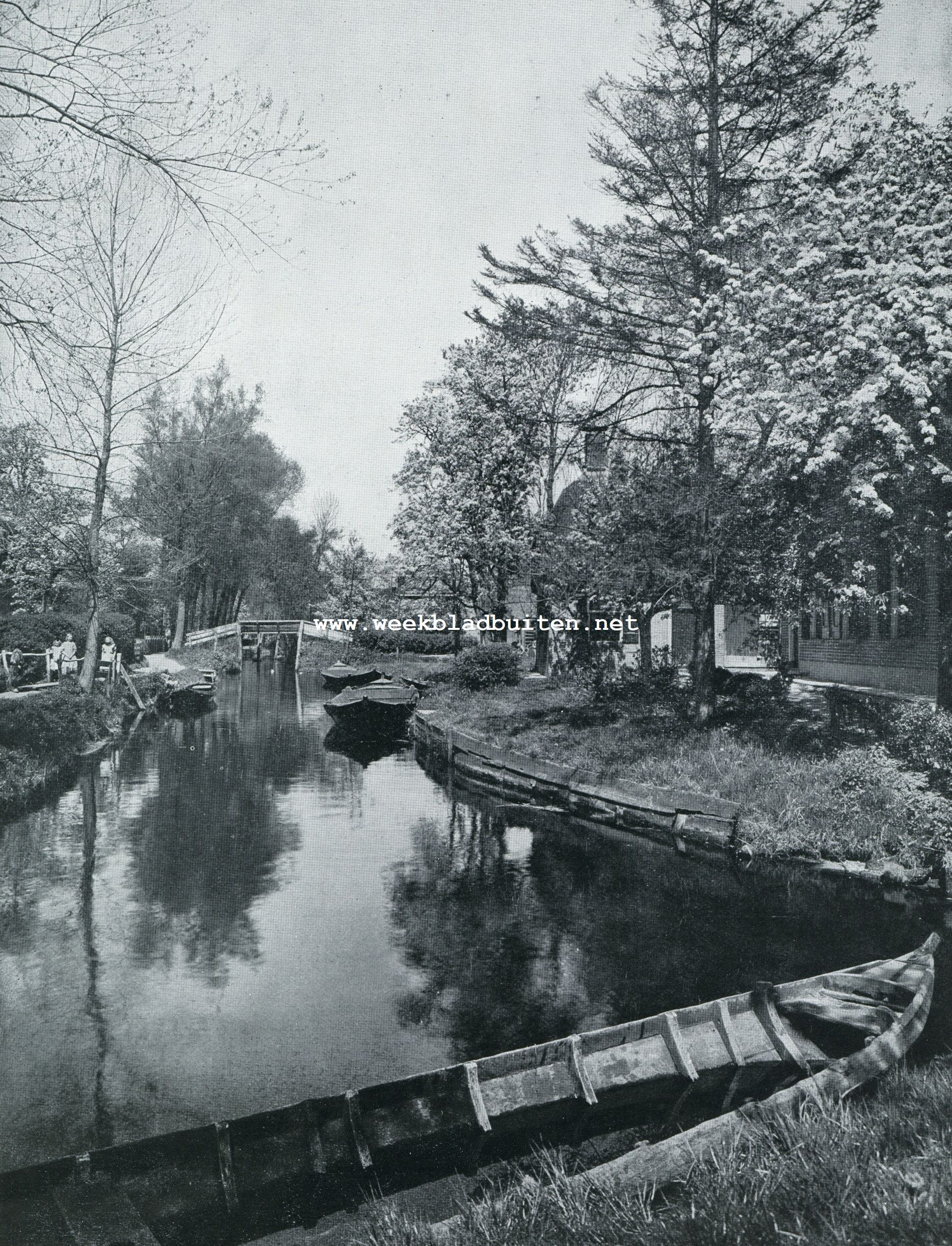 Bloesempracht te Giethoorn