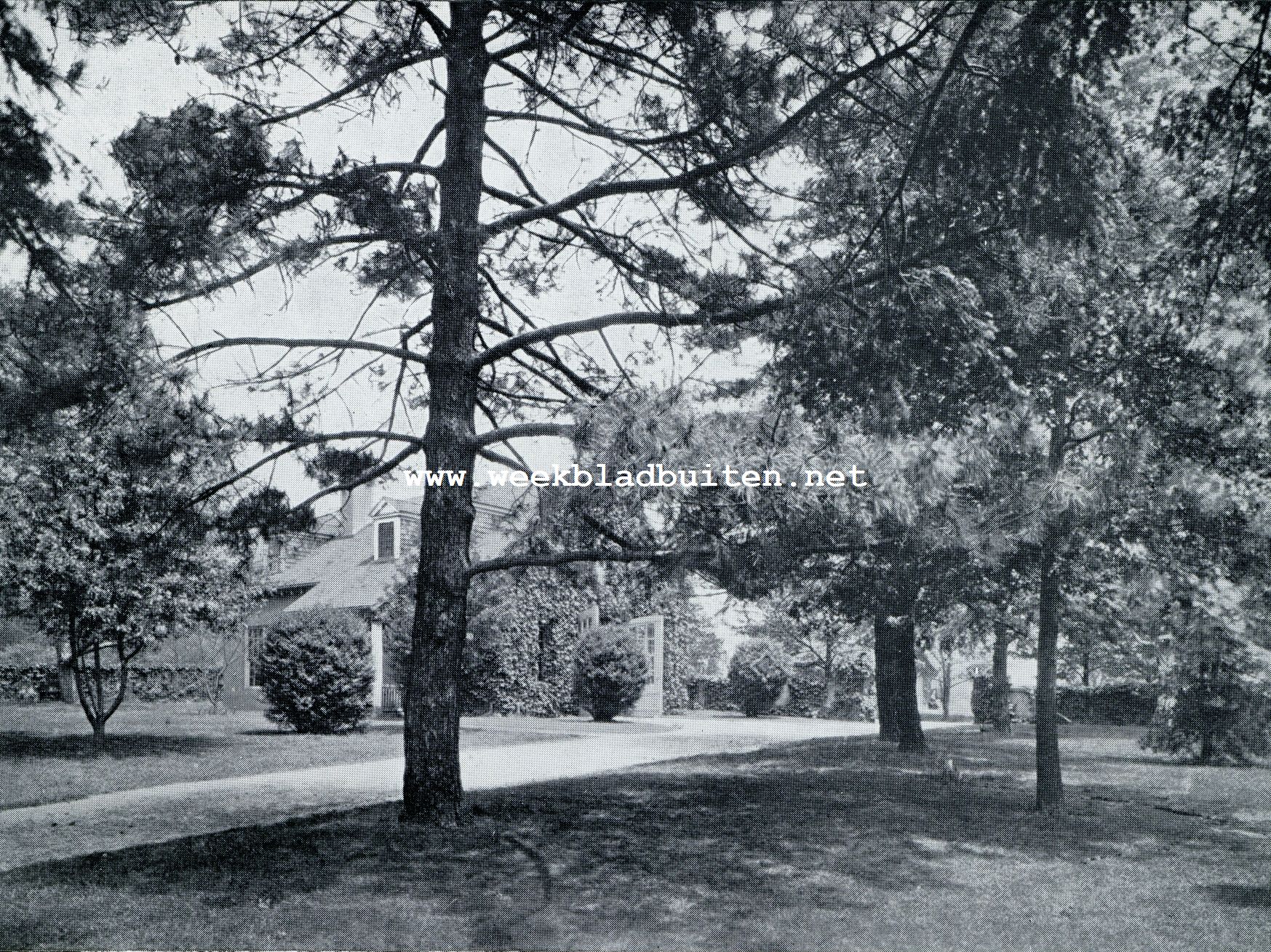 Een Amerikaansche Meisjesschool. Tuin met gymnasium