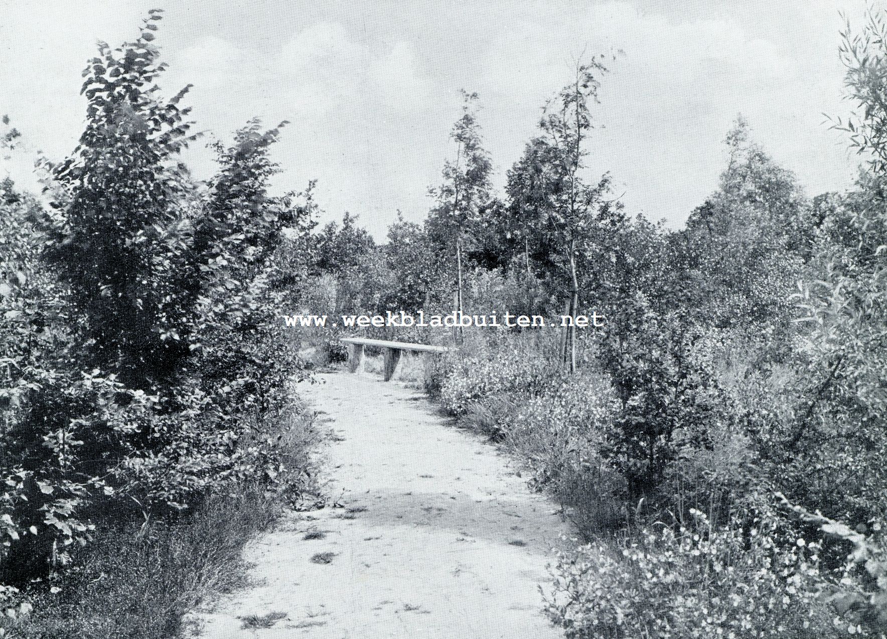 De Leidsche Hout. Rustig wandelpad