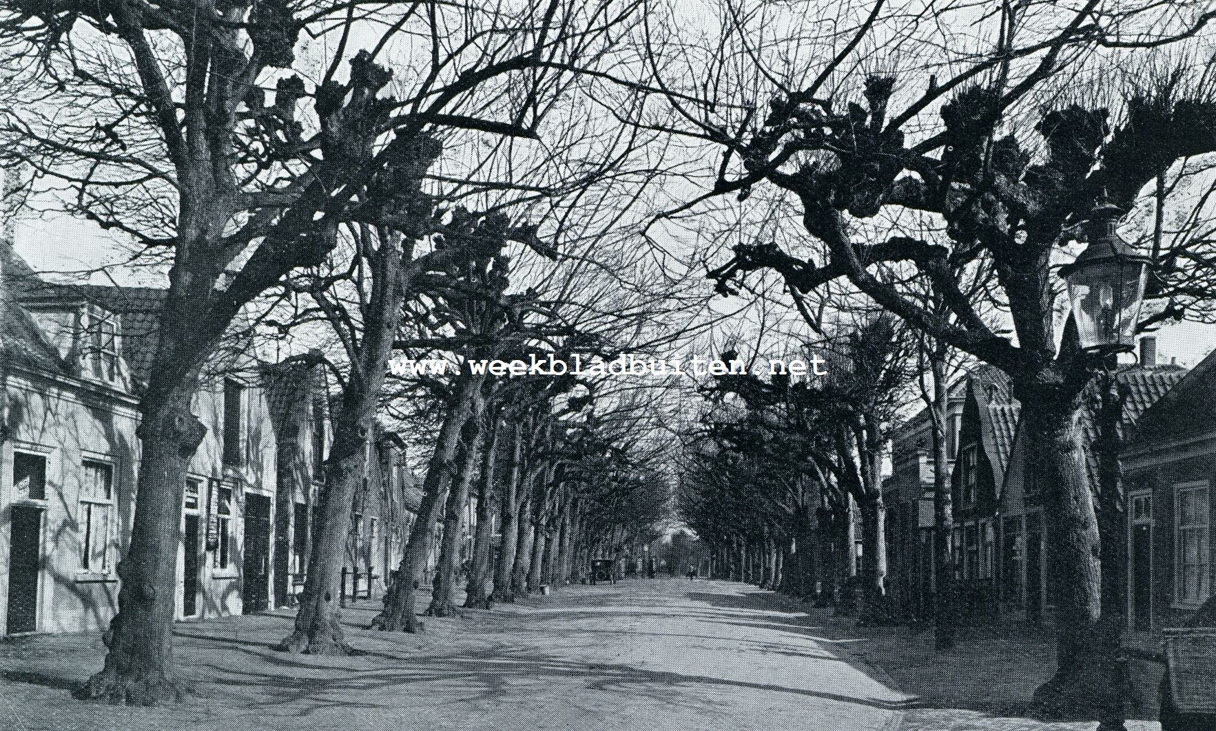 Voorschoten. Dorpstraat met geschoren linden
