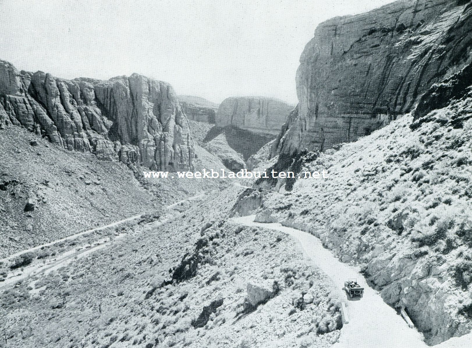 In een der natuur-schatkamers van Arizona. De Fish Creek Canyon in Arizona