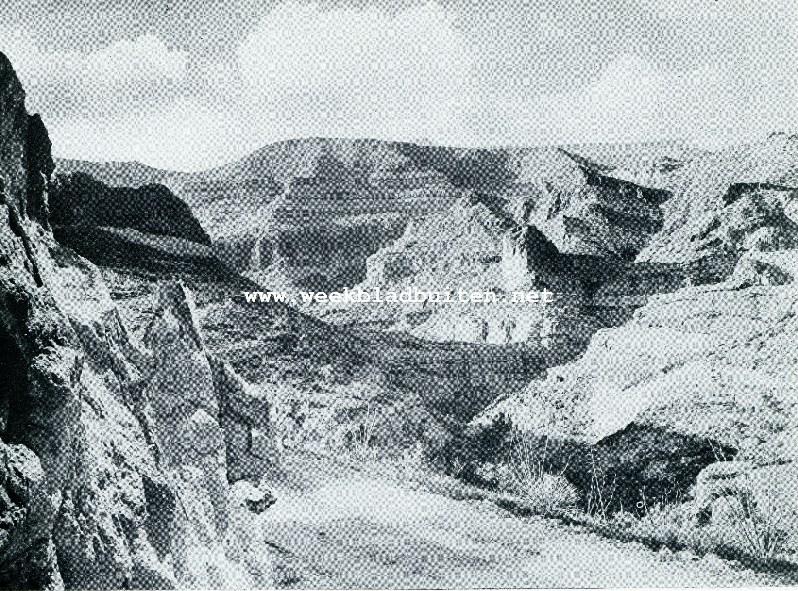 In een der natuur-schatkamers van Arizona. De Painted Cliffs in Arizona