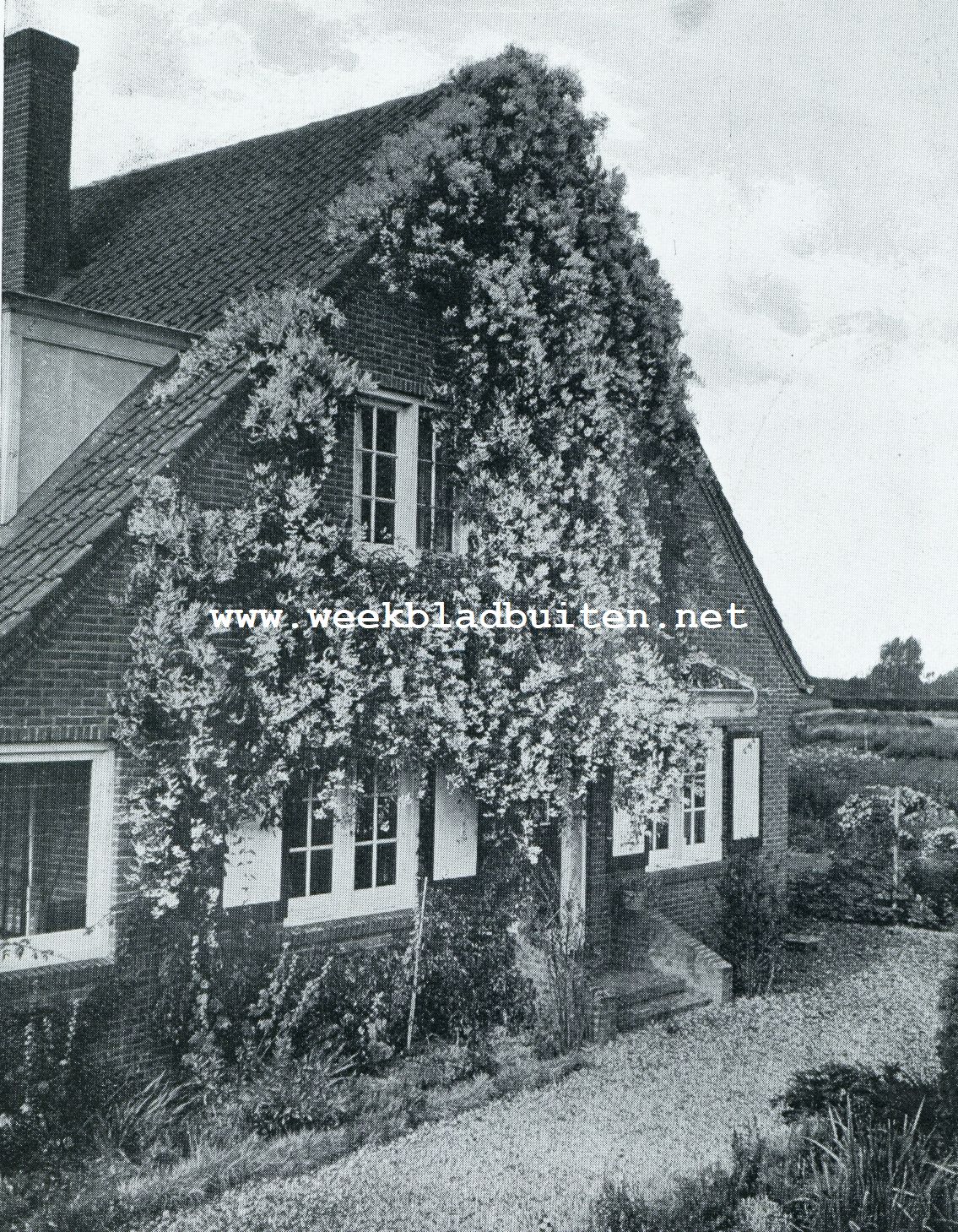 Huis en Tuin. Begroeiing van den gevel van het huis