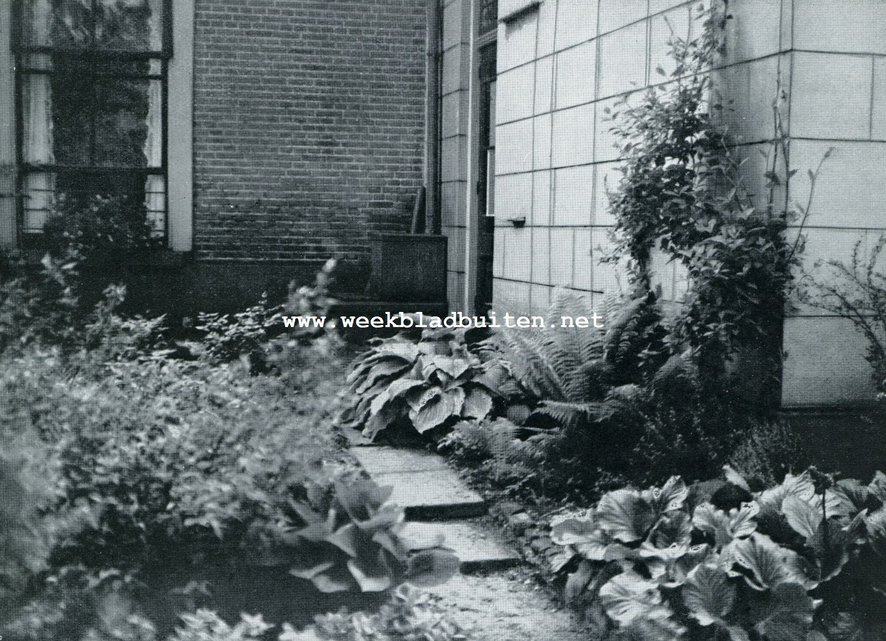 Huis en Tuin. Beplanting aan de noordzijde van het huis