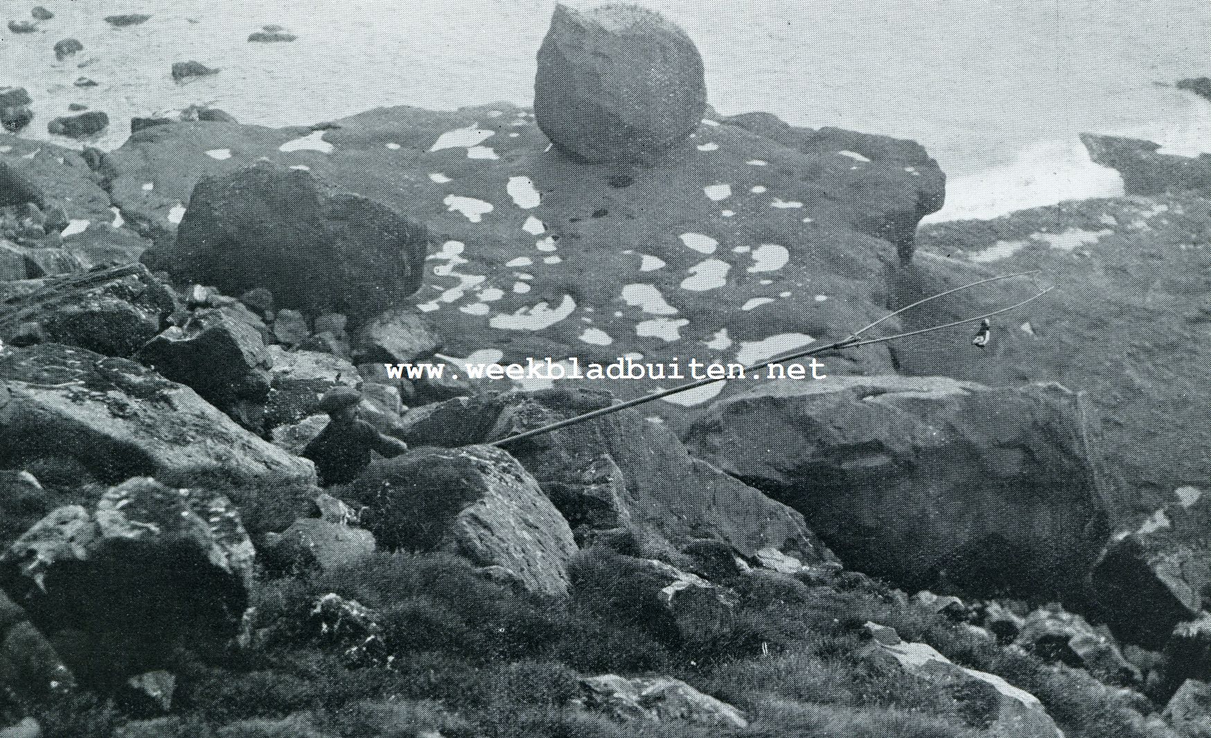 De Faeroer. 