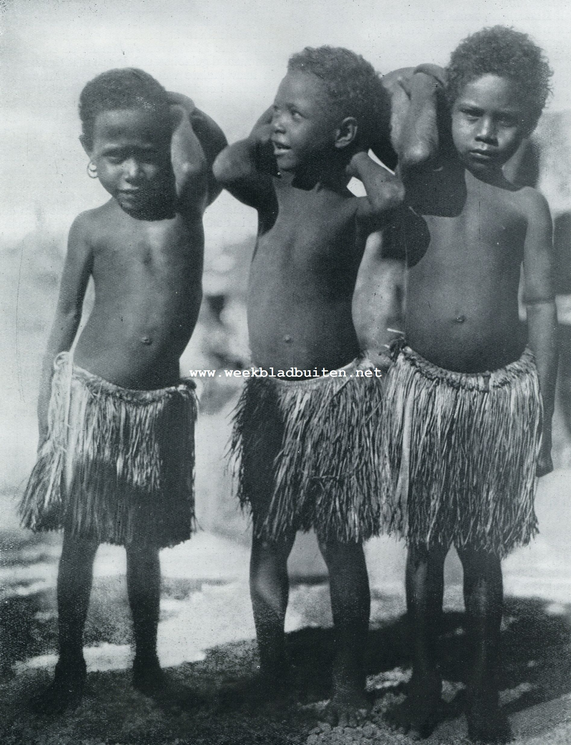 Papua-spes Patriae van Nieuw Guinea