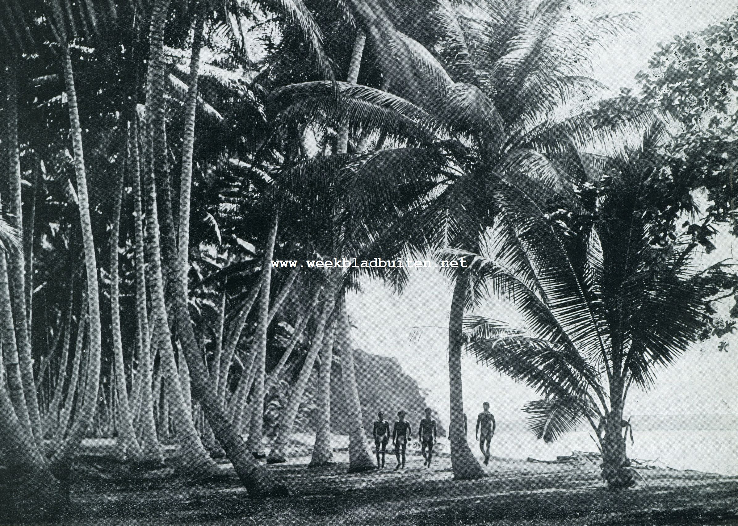 Papua. Aan het strand van Papua, het Oostelijk deel van Nieuw Guinea