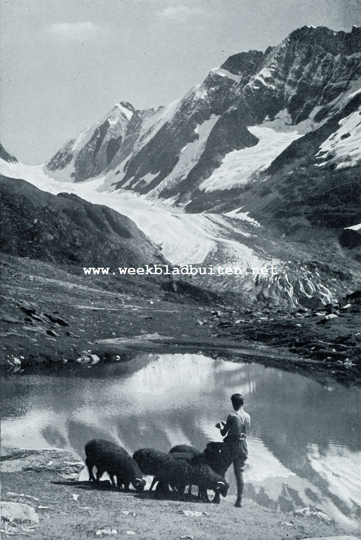Gletschersagen uit het Loetschendal. Guggisee in het Ltschendal met Langgletscher