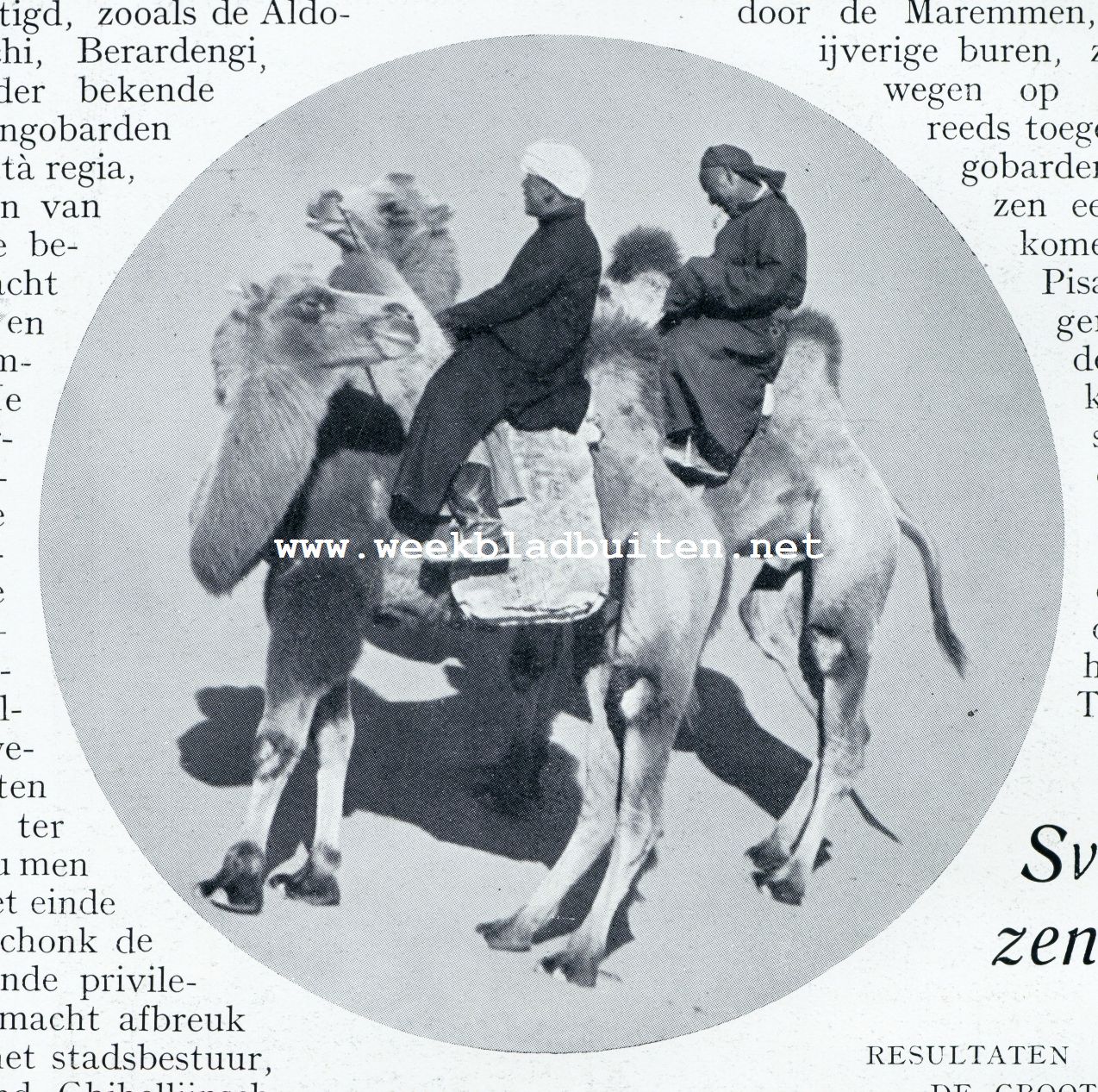 Mongoolsche kameel-ruiters