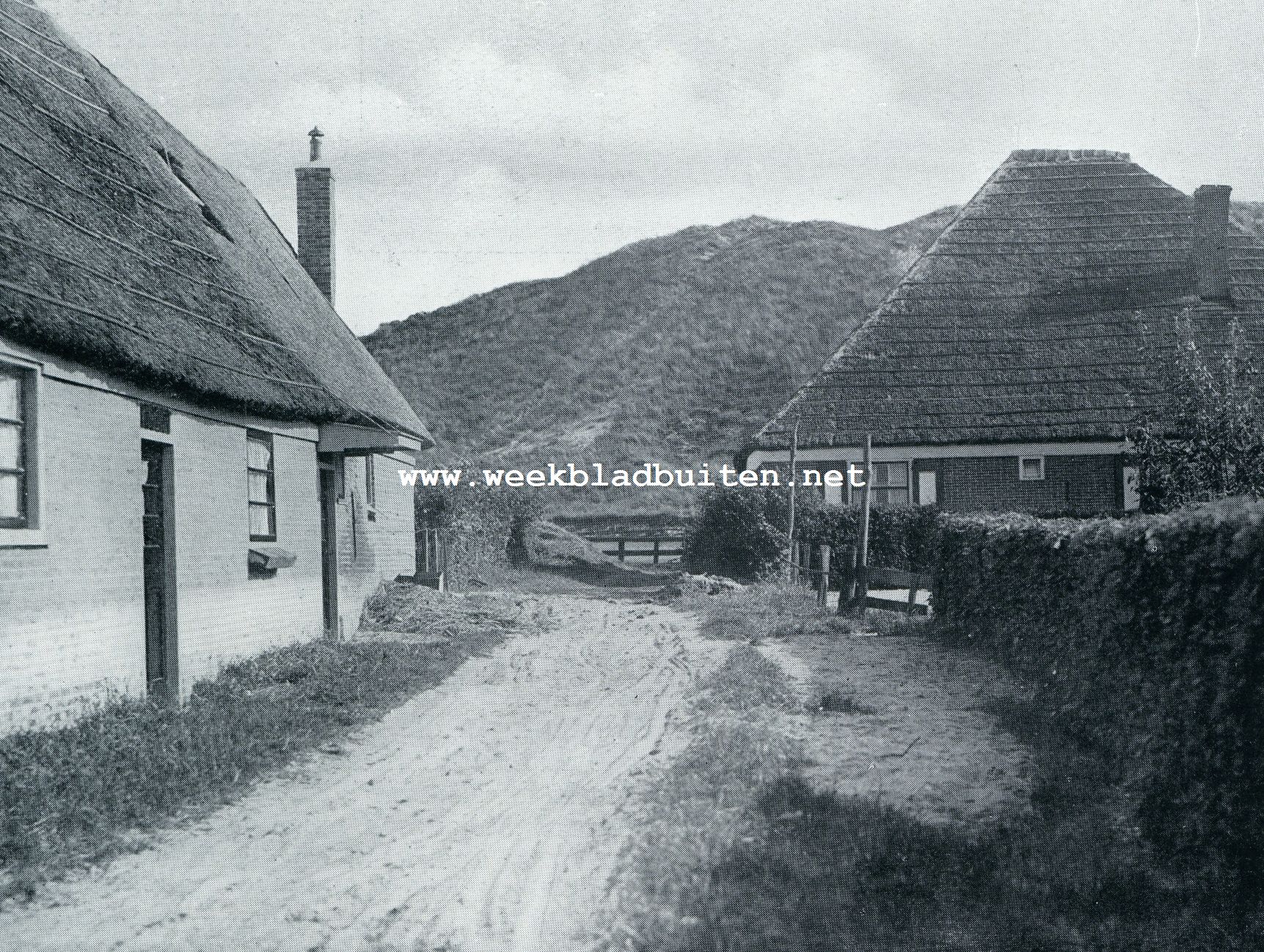 Bergen. Aan den voet der duinen te Schoorl