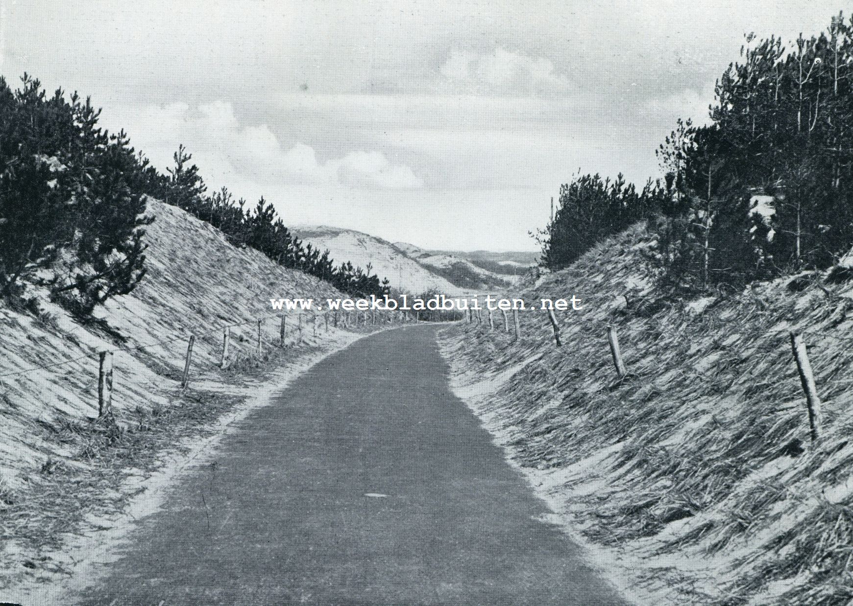 Bergen. Fietspad in de duinen te Schoorl