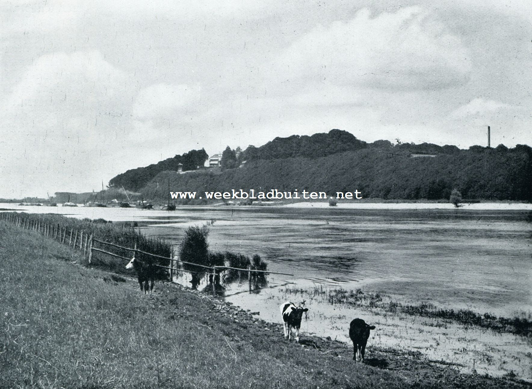 DE RIJN BIJ ARNHEM