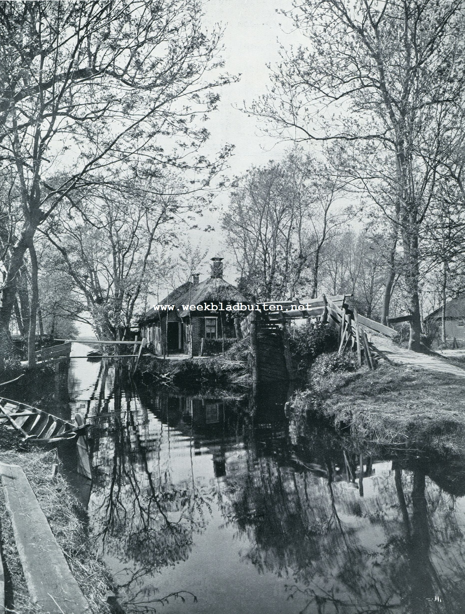 VOORJAAR