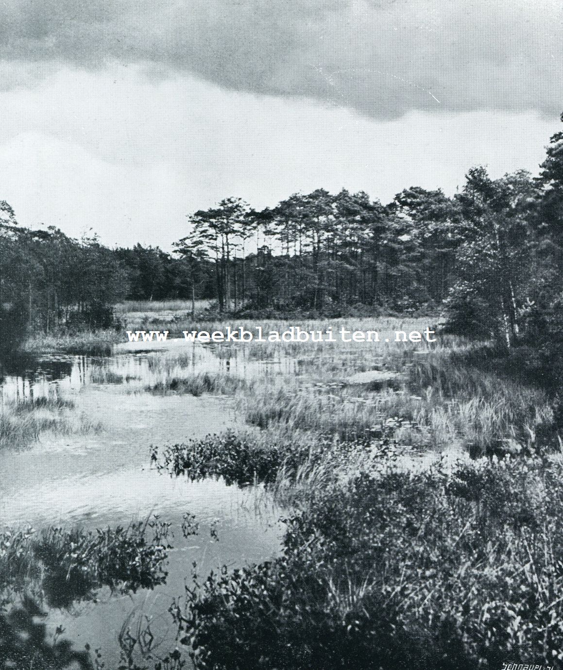 OISTERWIJK, HET VAN ESSCHENVEN