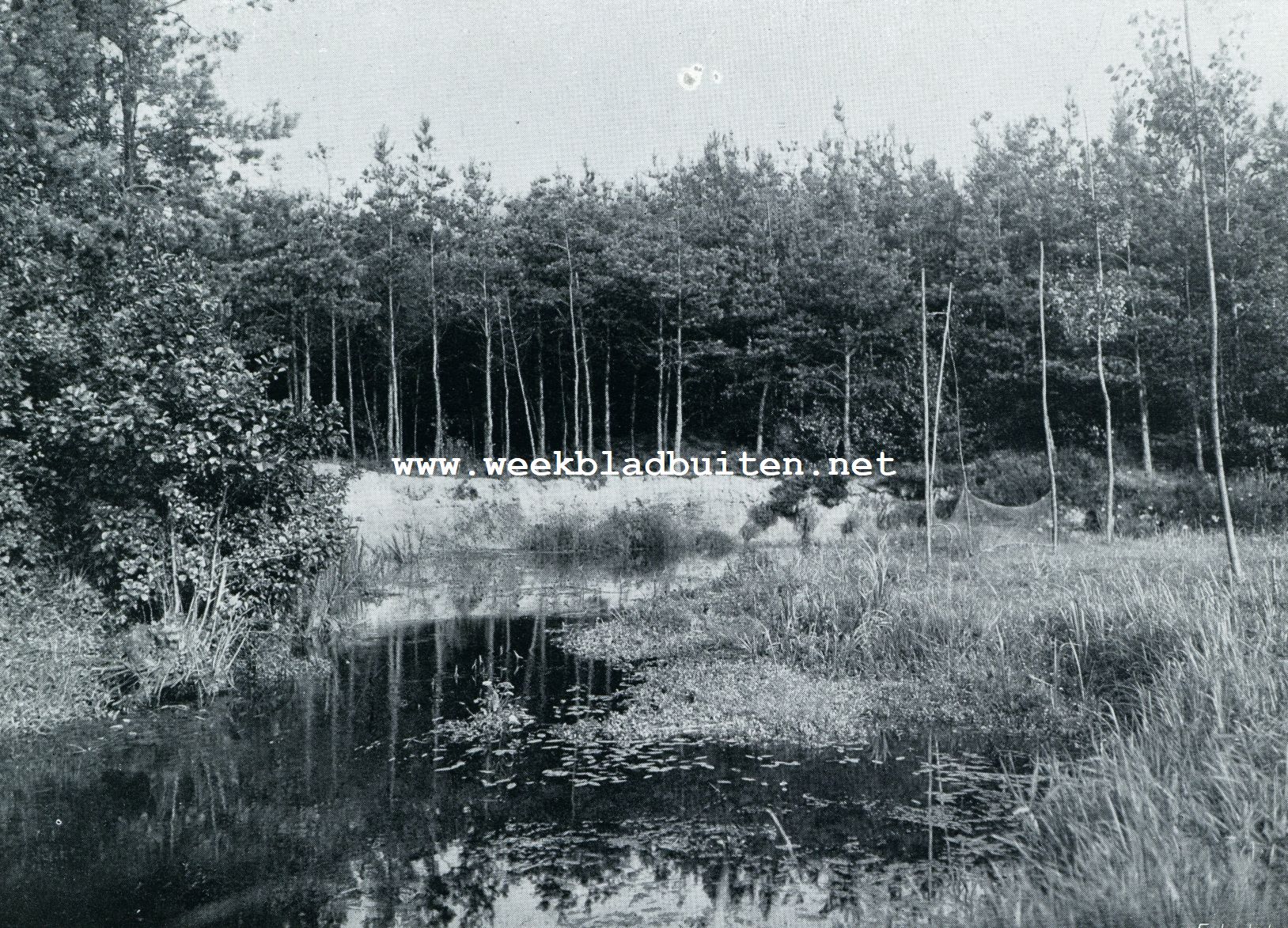 OISTERWIJK. DE ACHTERSTE STROOM