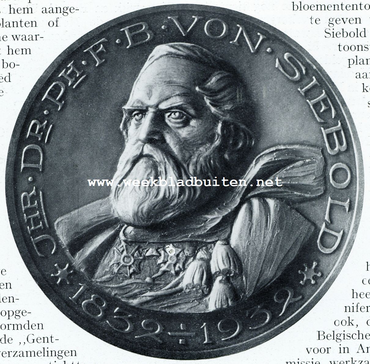 PENNING, GESLAGEN TER GELEGENHEID DER VON SIEBOLD-HERDENKING
