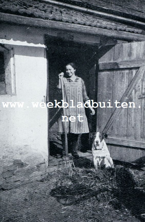 BERTHA HET HAUSMAEDCHEN