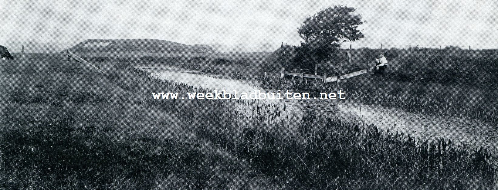 HET OUDE MIRDUMER KLIF VAN DE LANDZIJDE