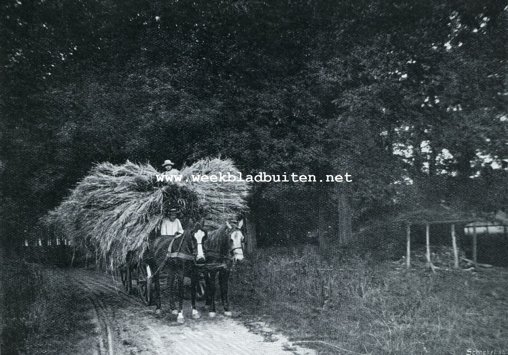 VAN HET VELD NAAR HUIS