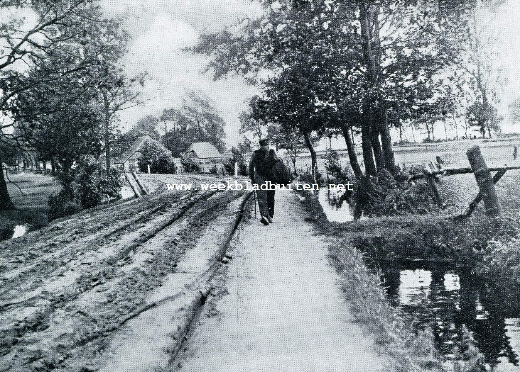 LANDWEG BIJ OMMEN