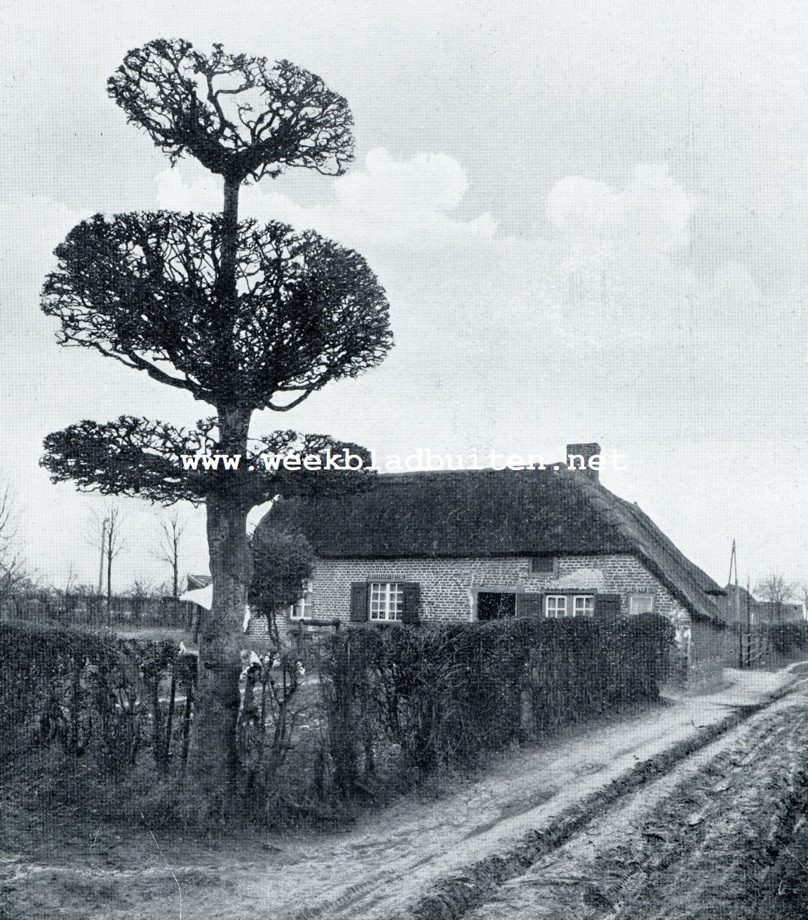 LIMBURGSCHE BOERDERIJEN. BRABANTSCH HUIS TE VELTHUM BIJ VENRAY