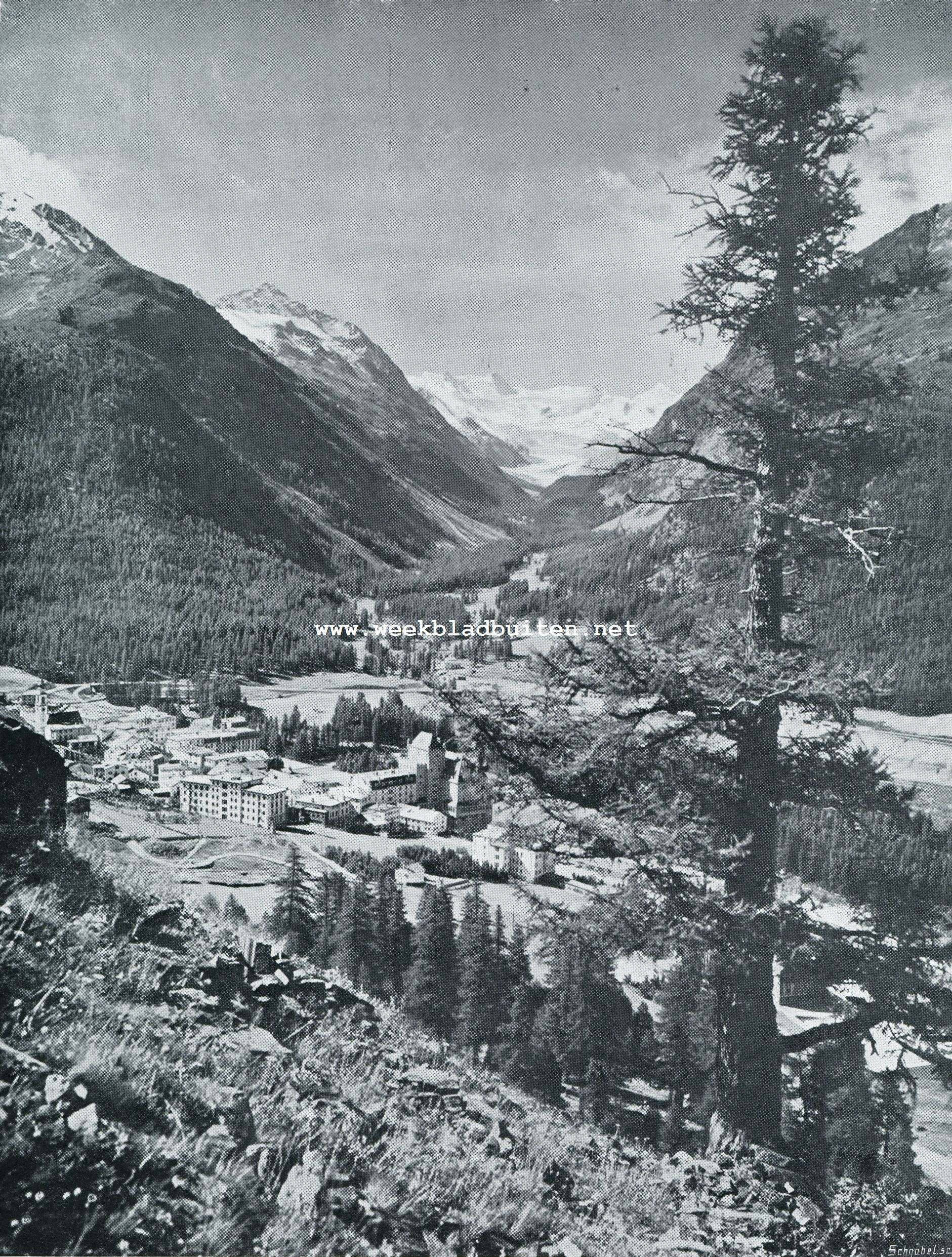 PONTRESINA IN HET ROSEGDAL