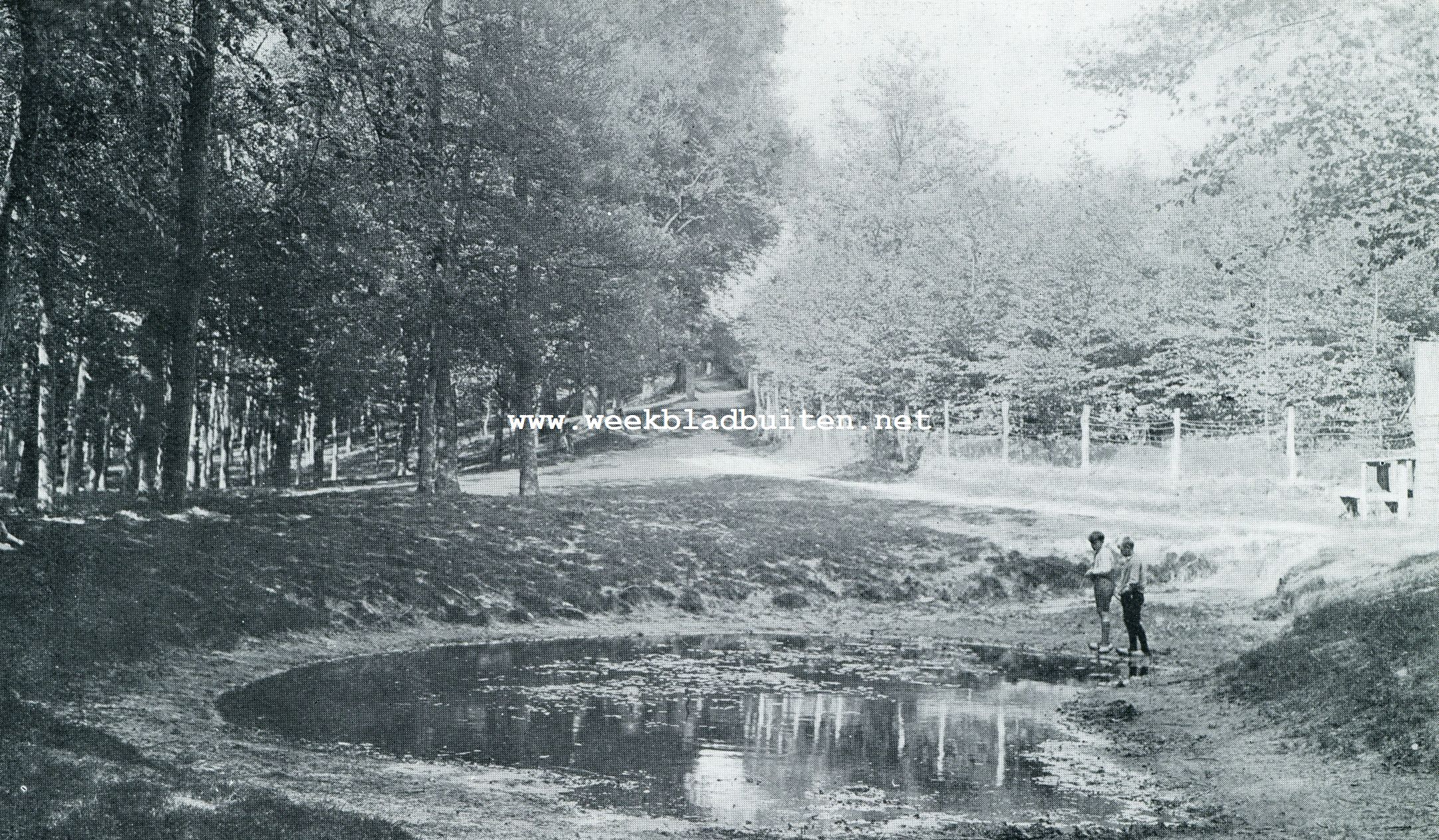 POMPHUL IN DE SOERENSCHE BOSSCHEN