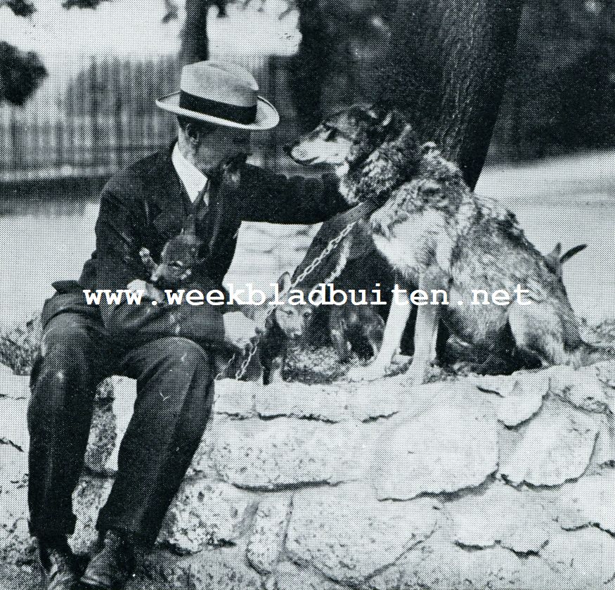 DE SCHRIJVER MET LASSIE EN HAAR EERSTE JONGEN, ROB, DON EN LITTLE ONE
