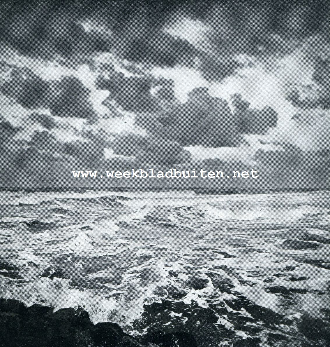DE NOVEMBERSTORM ZWEEPT ONZE KUST