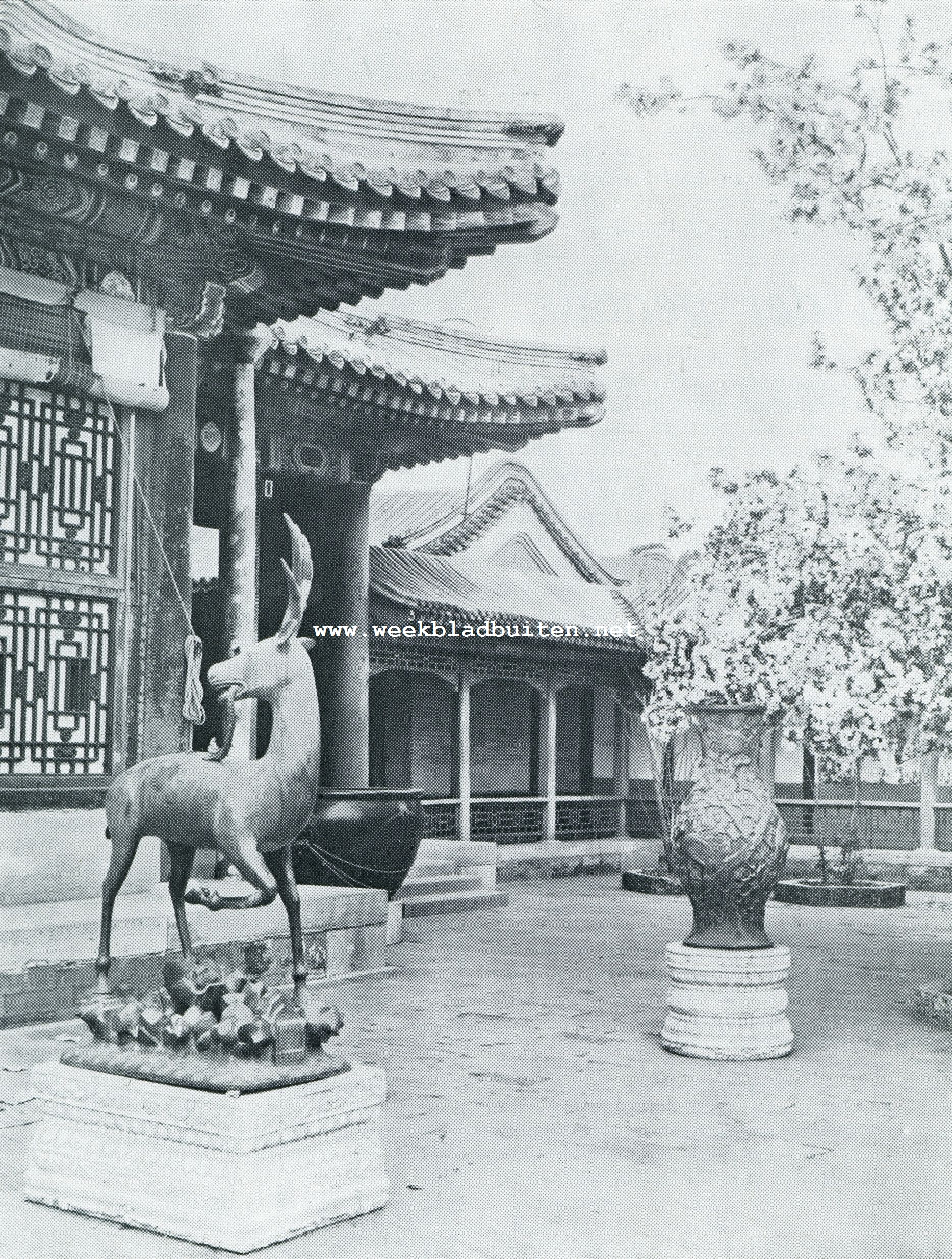 EEN BINNENHOF VAN HET ZOMERPALEIS BIJ PEKING IN BLOESEM-TIJD