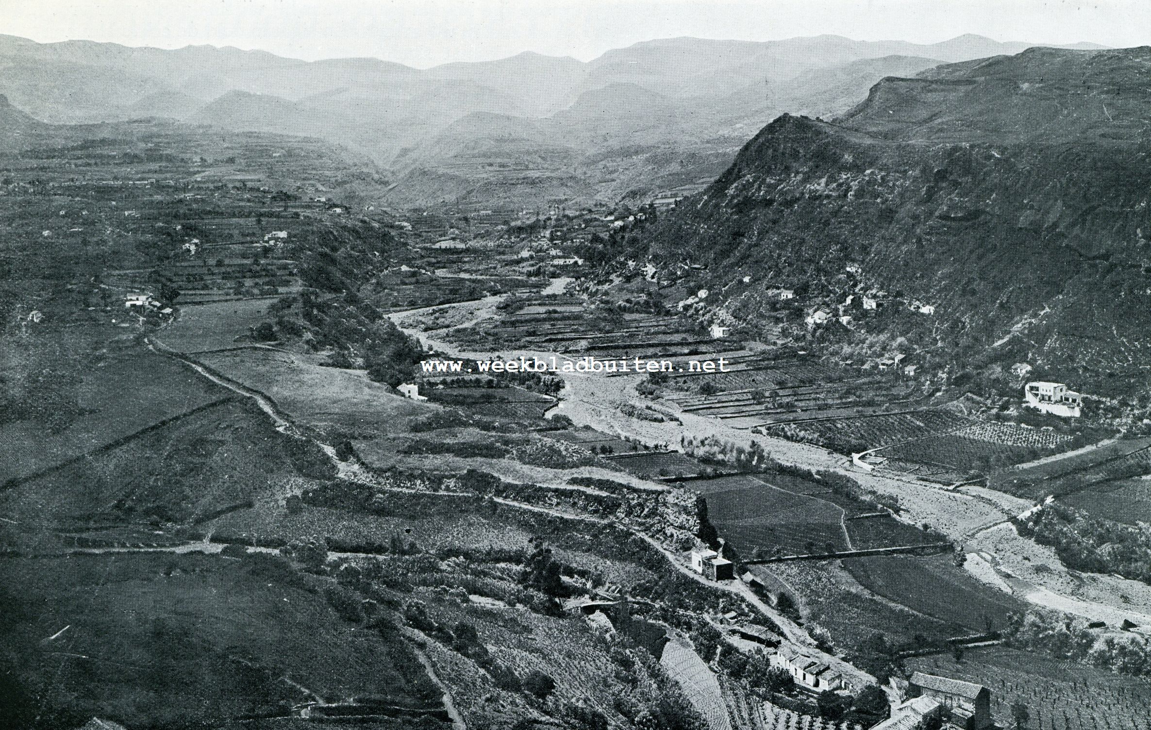 DE BARRANCA DEL DRAGONAL OP GRAN CANARIA