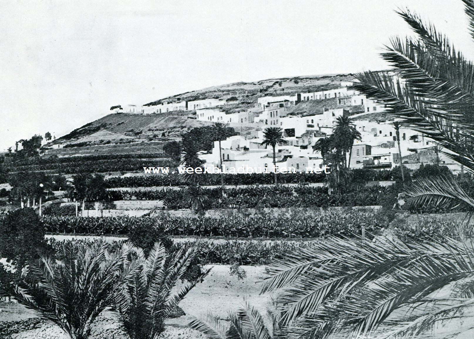 WITTE, PLATGEDAKTE HUIZEN ALS IN AFRIKA
