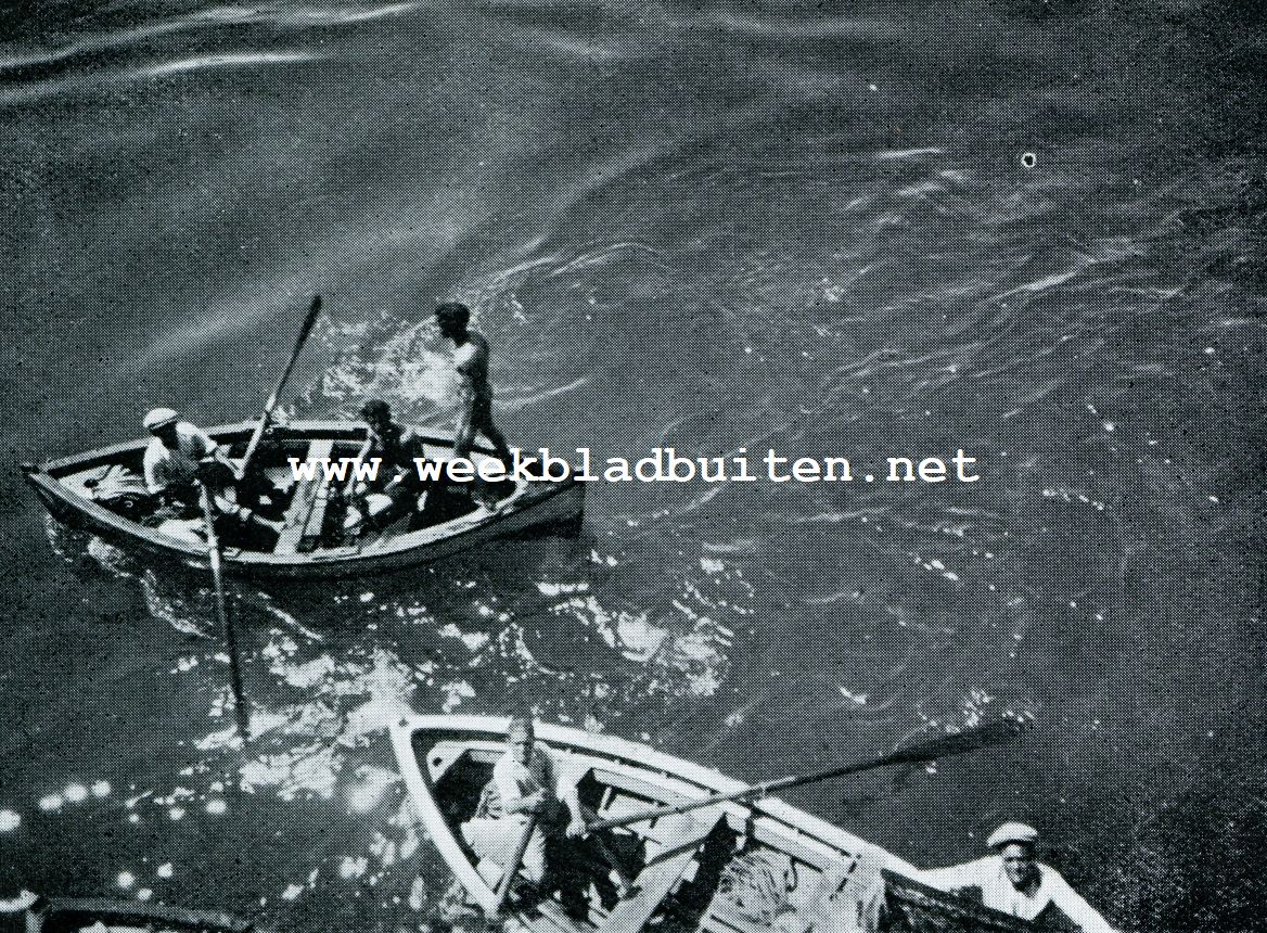 DE DUIKERS VAN LAS PALMAS