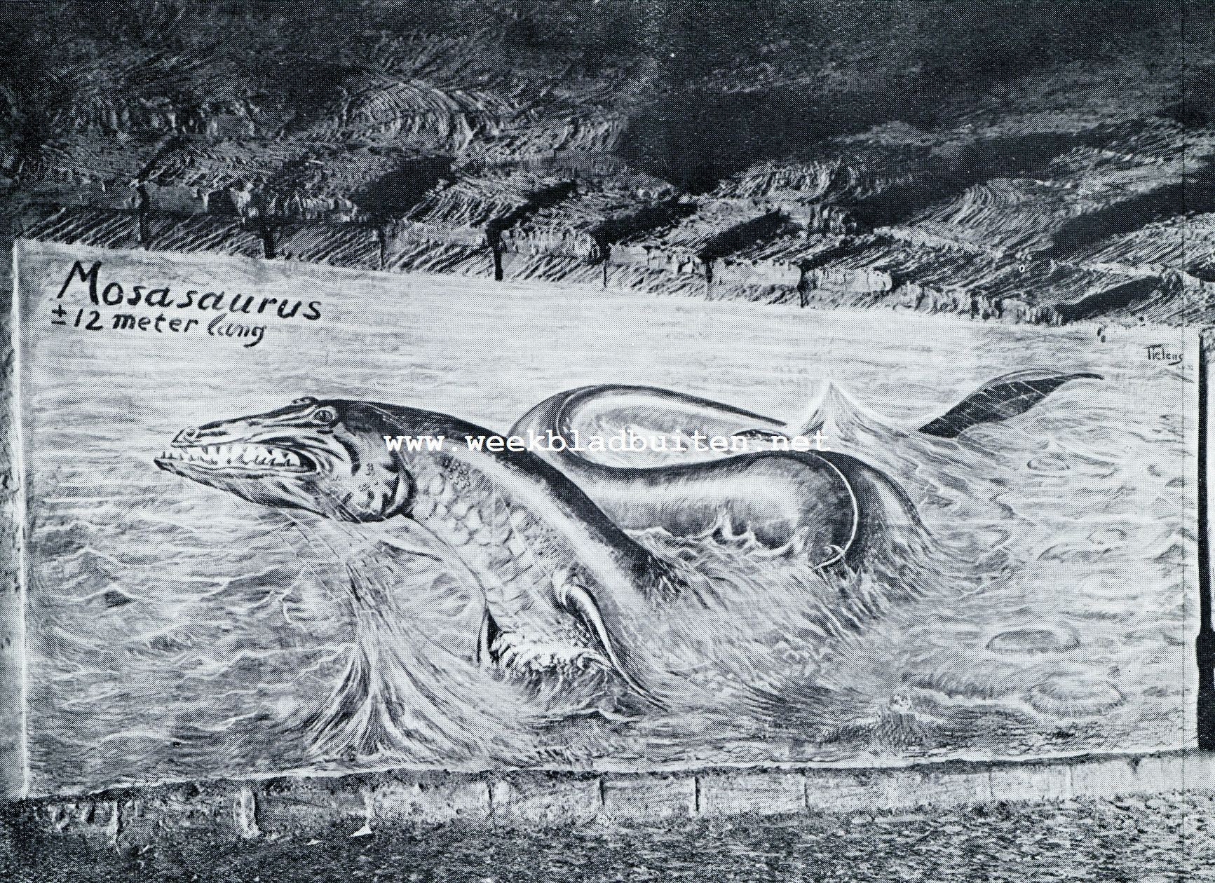 RECONSTRUCTIE VAN DEN MOSASAURUS DOOR DEN SCHILDER TIELENS IN DE GEMEENTEGROT TE VALKENBURG (L.)