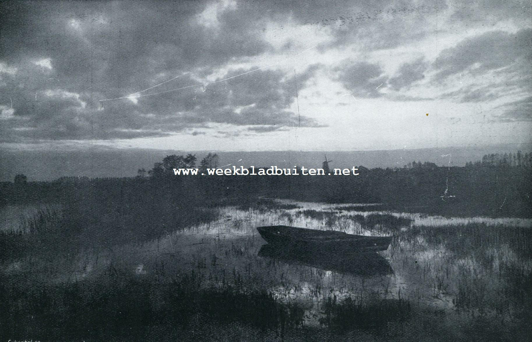 IN TENEBRIS LUX