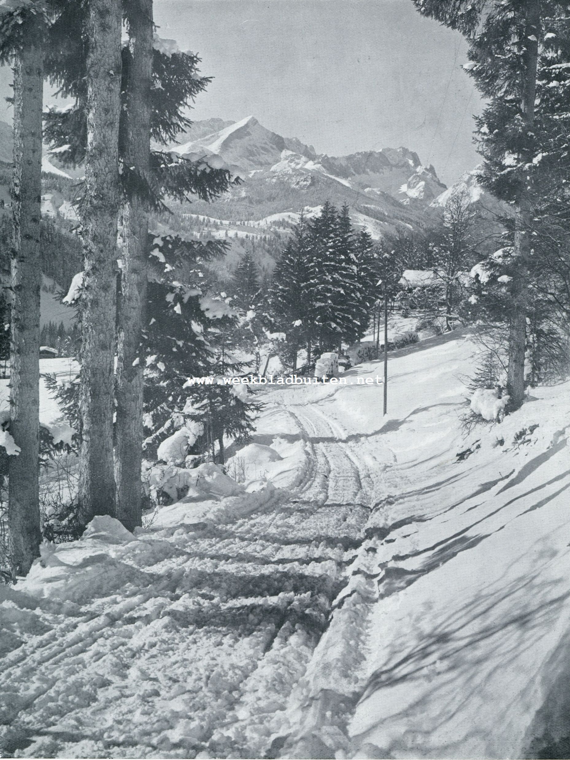 BOSCHWEG BIJ PARTENKIRCHEN
