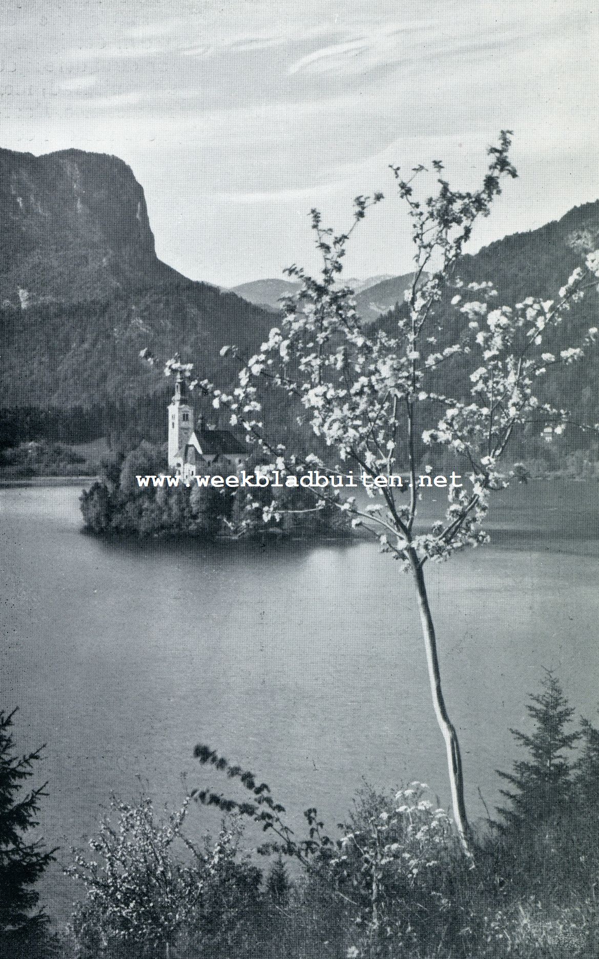 HET MEER BIJ DE BADPLAATS BLED IN SLOVENI