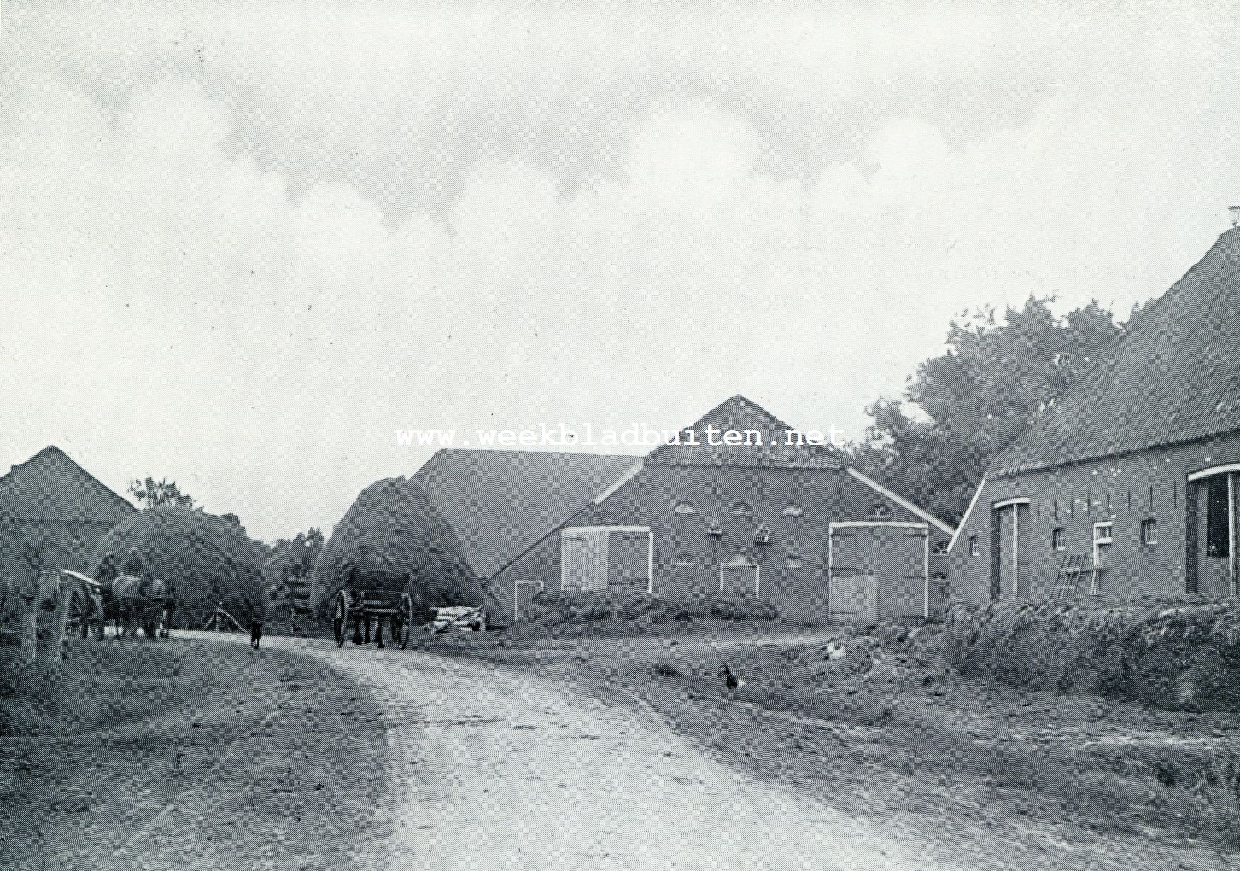 DE ACHTERKANT VAN DE WESTERWOLDSCHE BOERDERIJEN? NEEN, DE VOORKANT! WANT DE ACHTERKANT IS DE VOORKANT. DE BOERDERIJEN STAAN NAMELIJK GEMAKSHALVE MET DE SCHUURDEUREN AAN DEN WEG