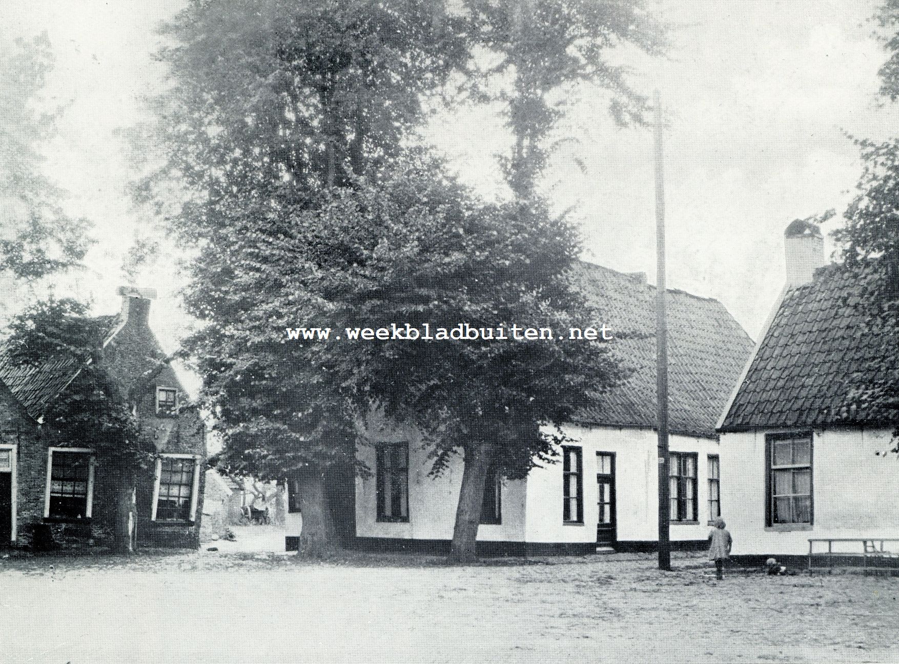 EEN INTIEM HOEKJE IN DE KOM VAN HET WESTERWOLDSCHE DORP BOERTANGE