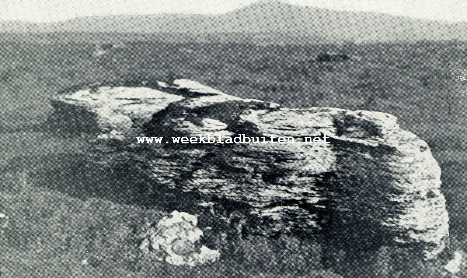EEN BROK LIMESTONE MET DIEPE GROEVEN (2500 VOET HOOGTE)