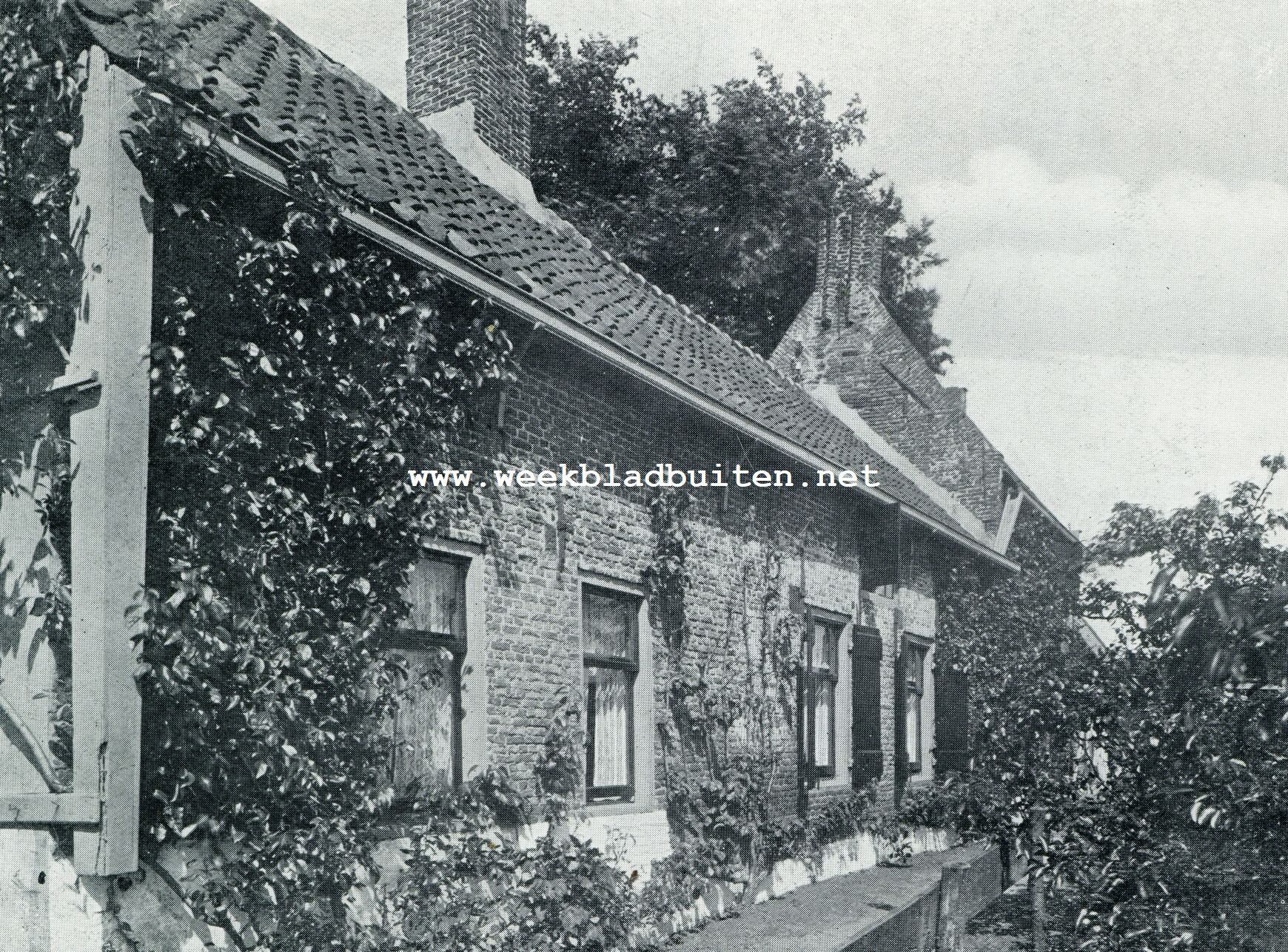 BOERDERIJ HET HOF TE MAASLAND