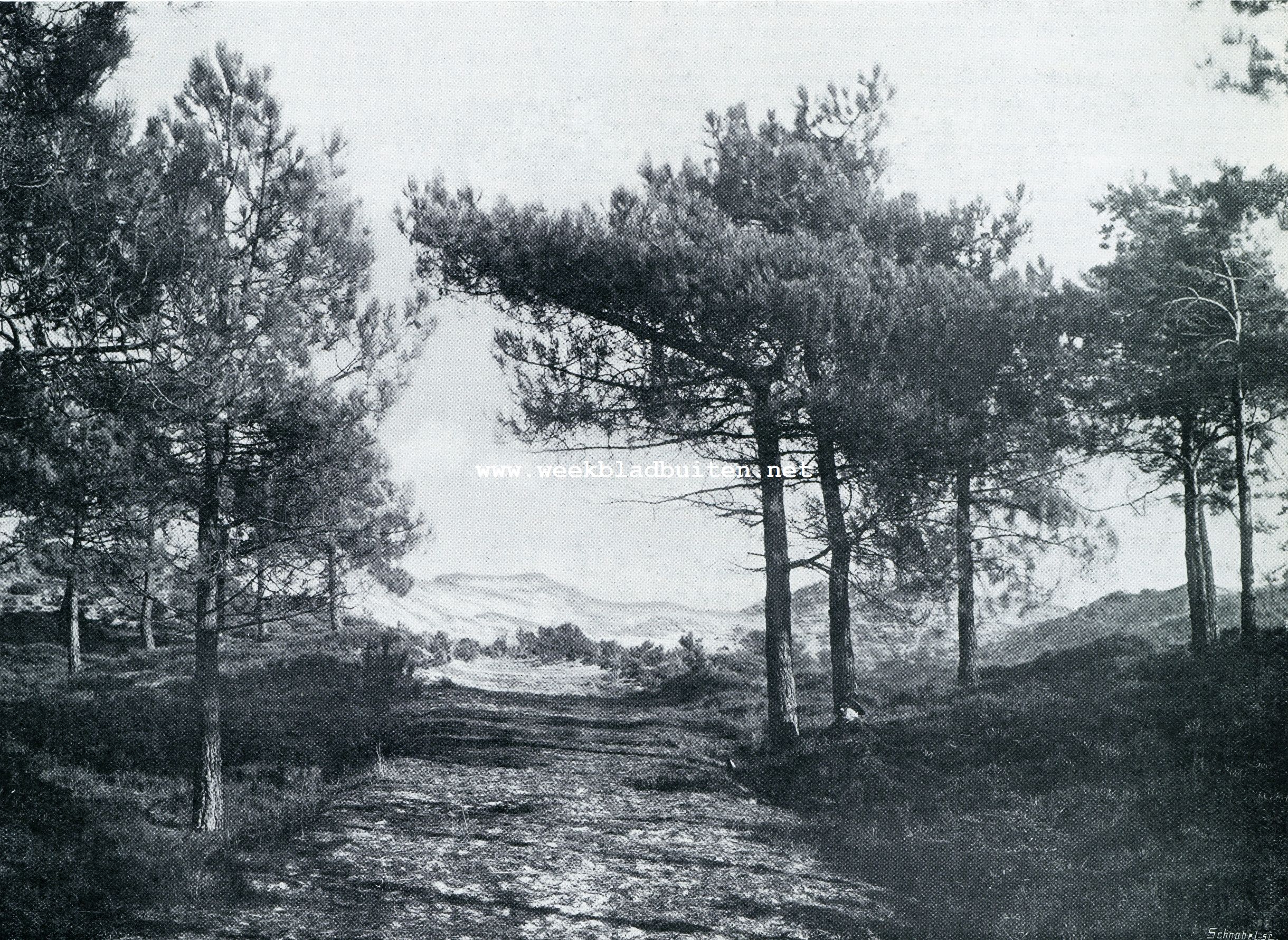 AAN DEN RAND DER HEIDE