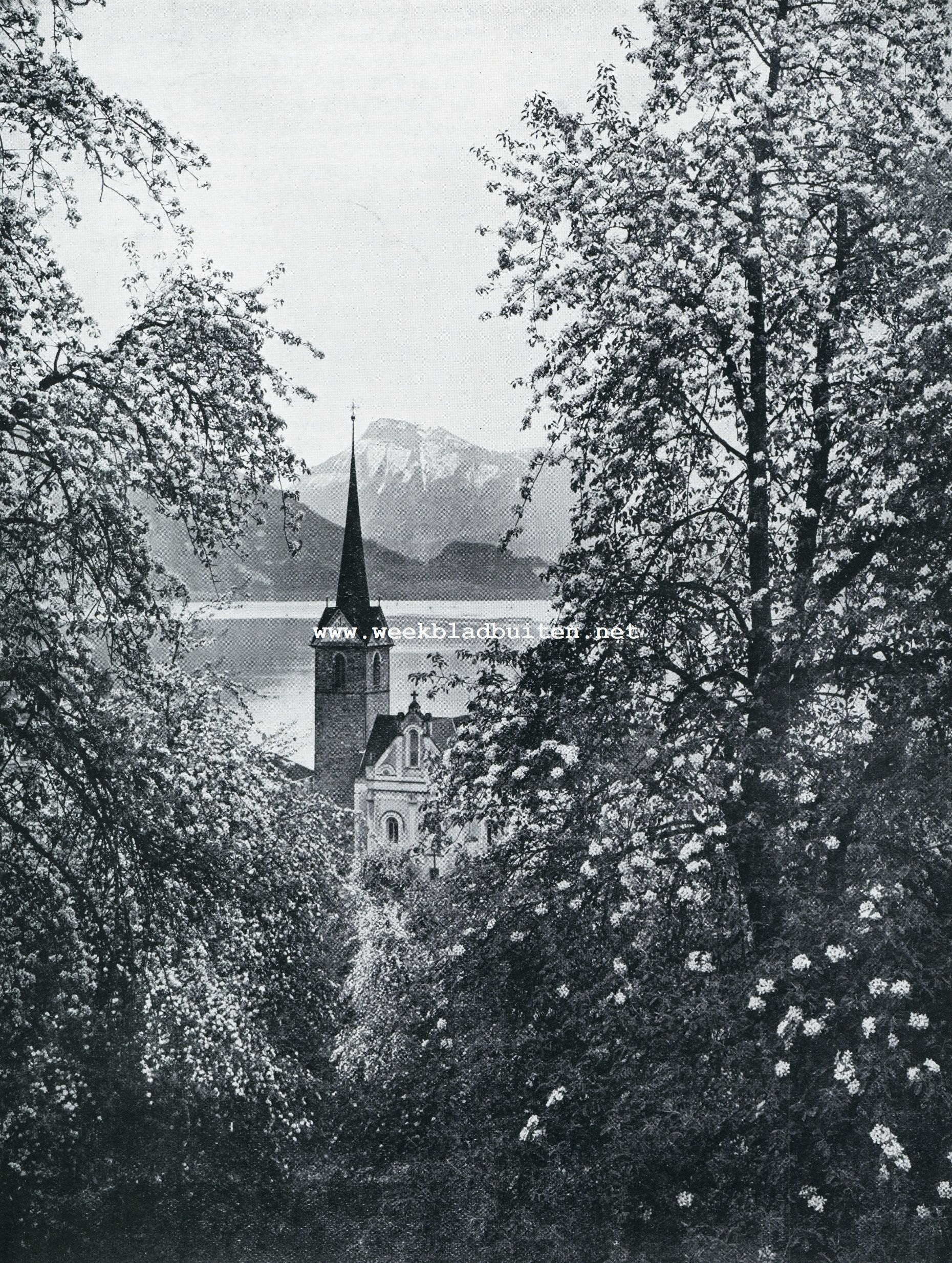 LENTE AAN HET VIERWALDSTTTERMEER