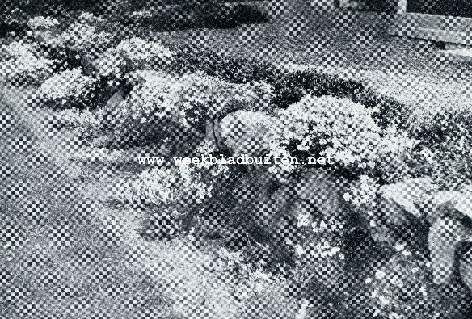 STAPELMUURTJE VAN NATUURSTEEN