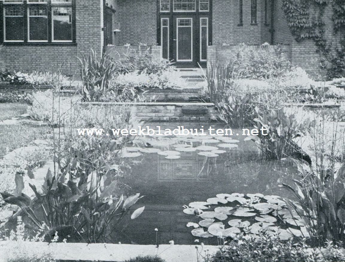 MUURTUIN MET BASSINS