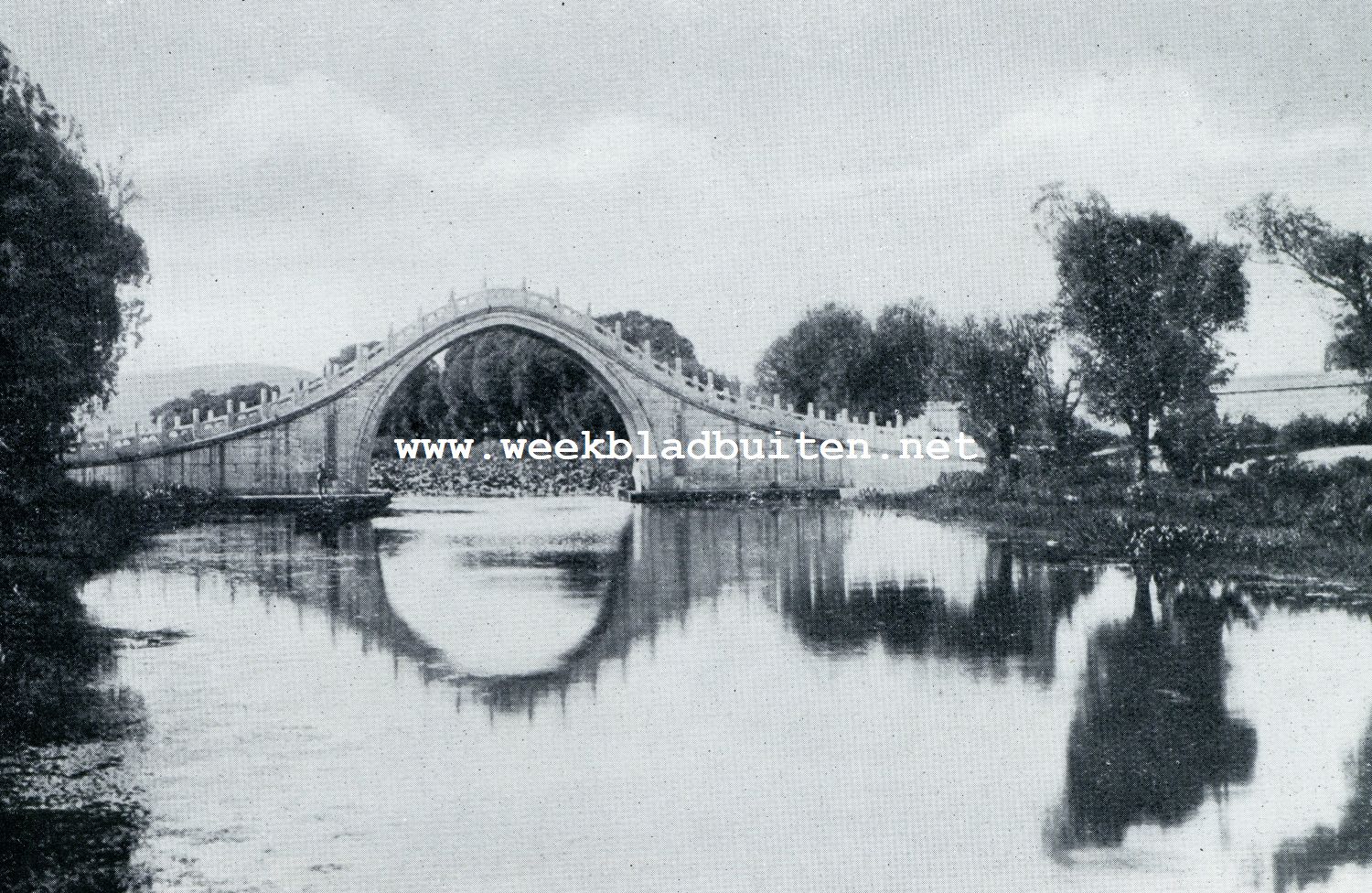 DE BEROEMDE KAMEELBOCHELBRUG
