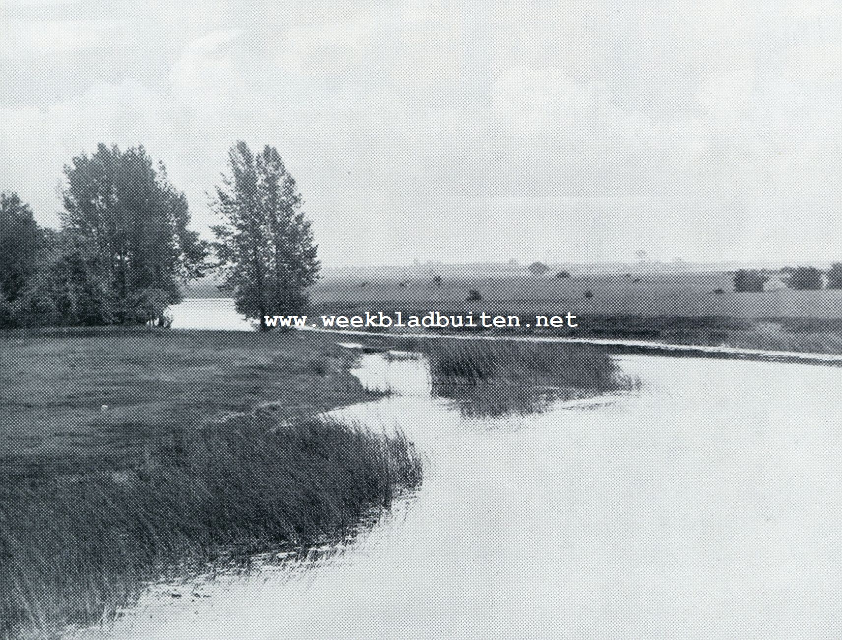 DE LAMME IJSEL, EEN OUDE RIVIERARM VAN DEN IJSEL, BIJ DOESBURG
