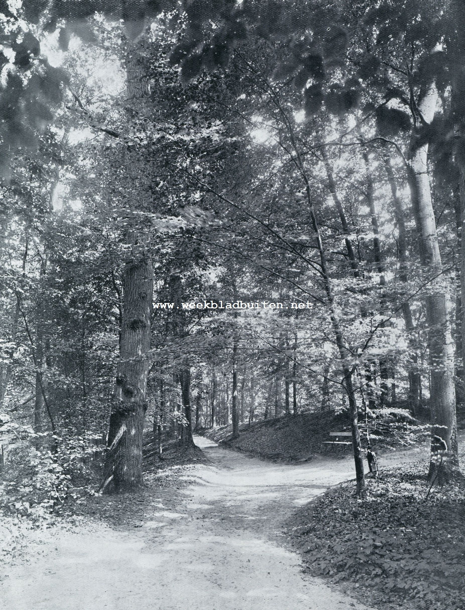 IN HET PARK VAN HUIZE DE POLL BIJ VOORST OP DE VELUWE