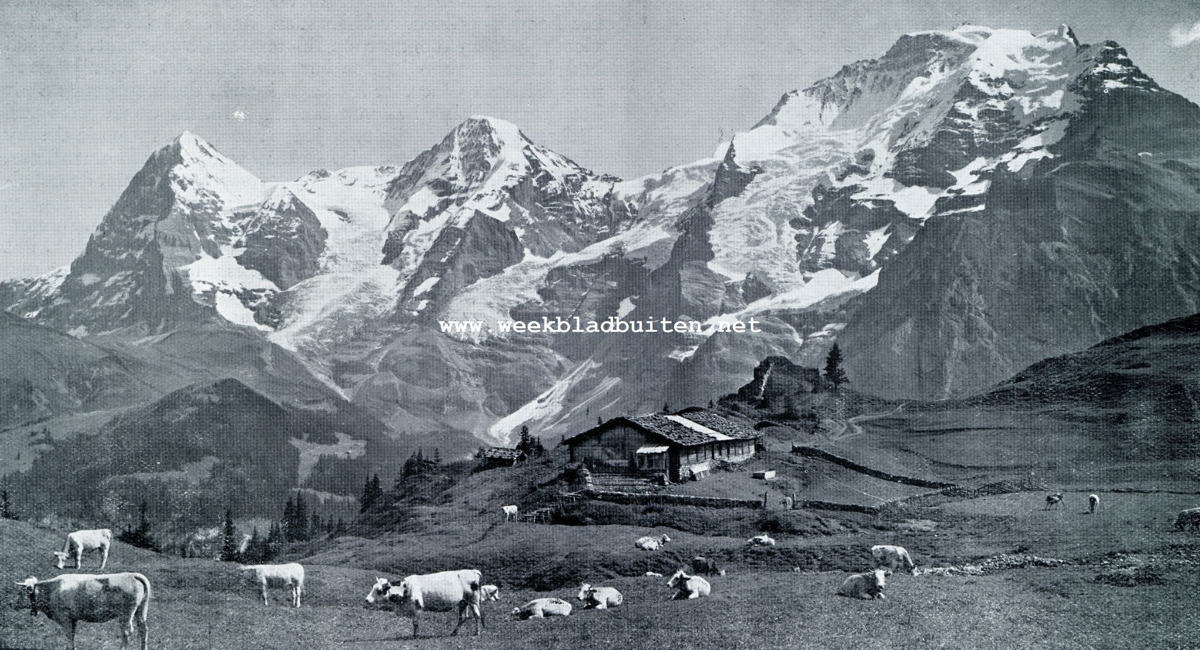 DE JUNGFRAU-GROEP IN HET BERNER OBERLAND